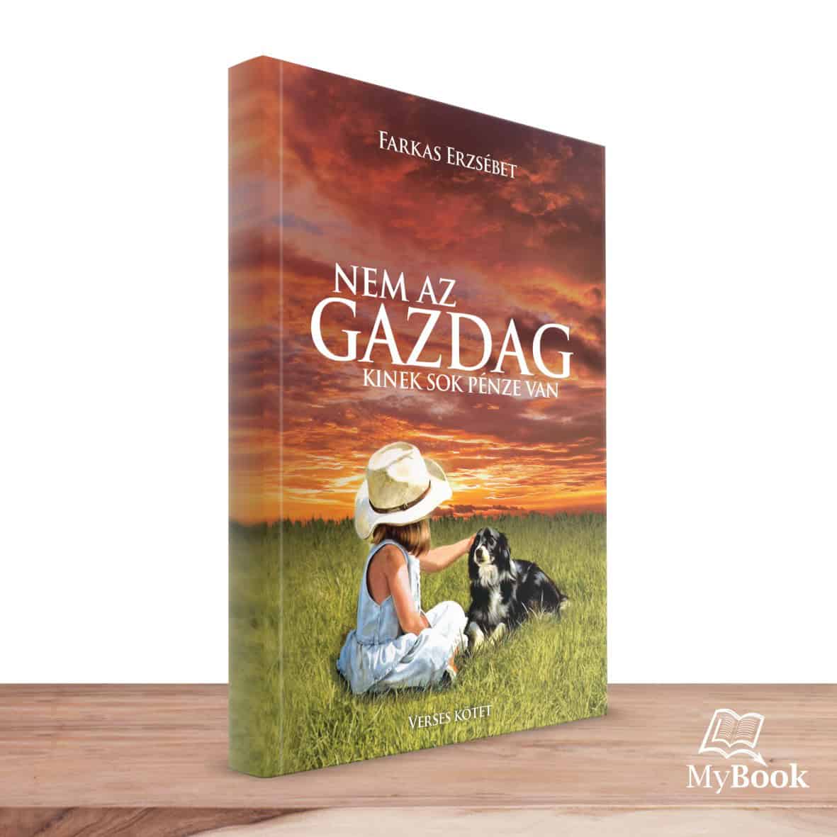 MyBook Farkas Erzsébet - Nem az gazdag kinek sok pénze van MyBook Farkas Erzsébet - Nem az gazdag kinek sok pénze van