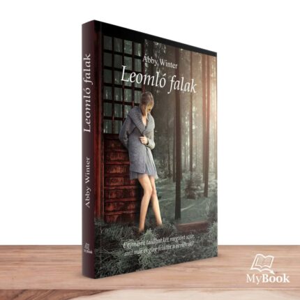 MyBook Abby Winter - Leomló falak